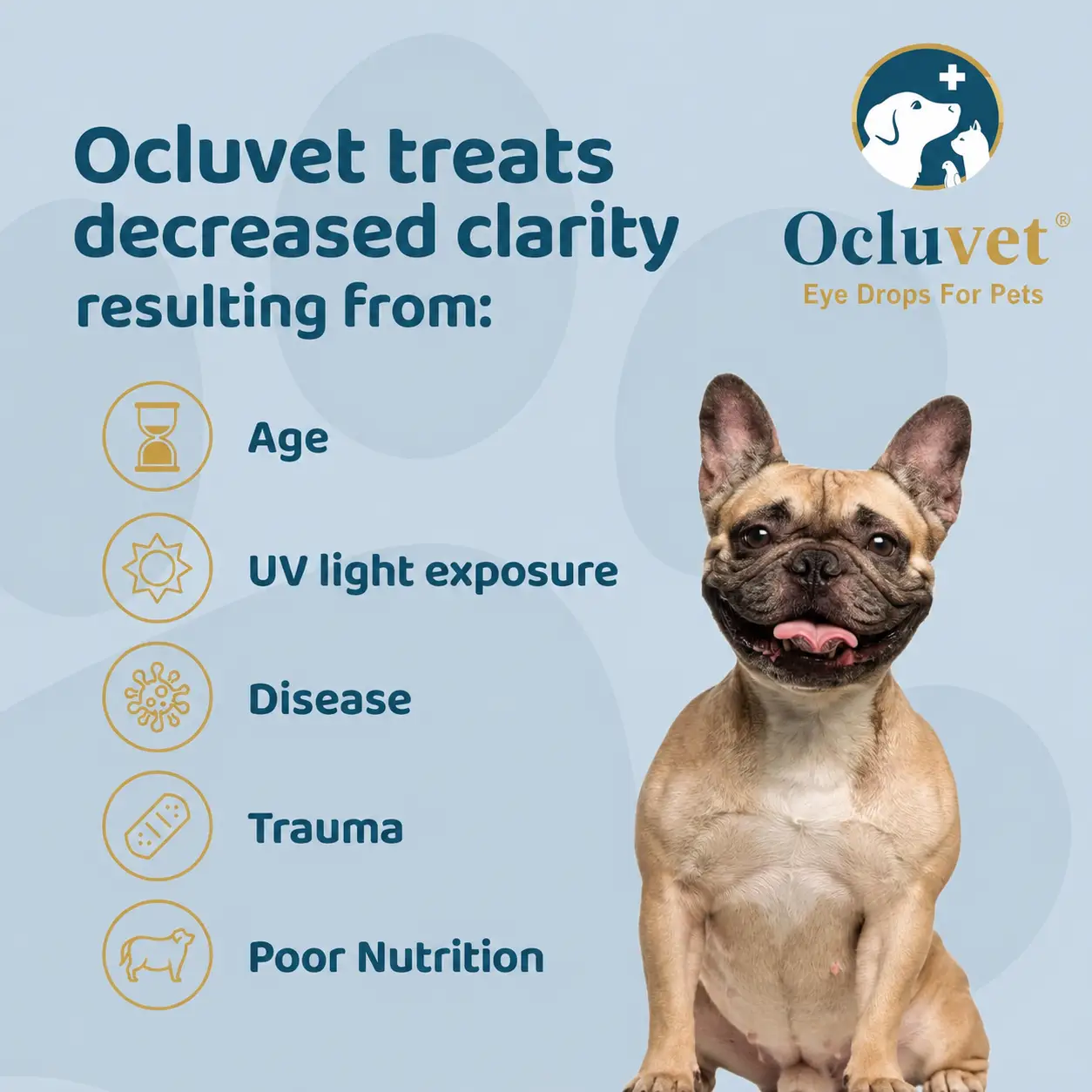 OcluVet Eye Drops for Pets With Cataracts | 2% NAC | 16mL - 3 Pack - Image 6